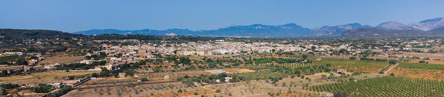 Santa Maria del Camí